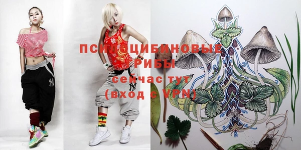 каннабис Арсеньев
